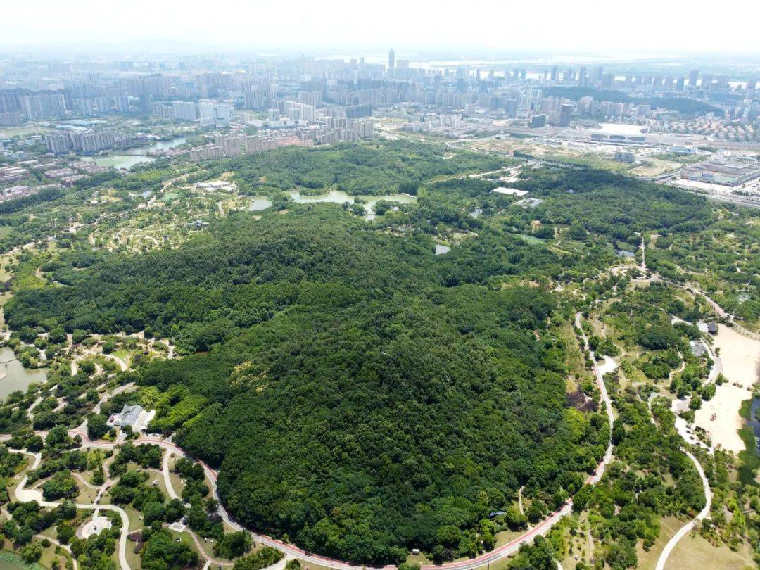 芜湖神山公园的秘密图片