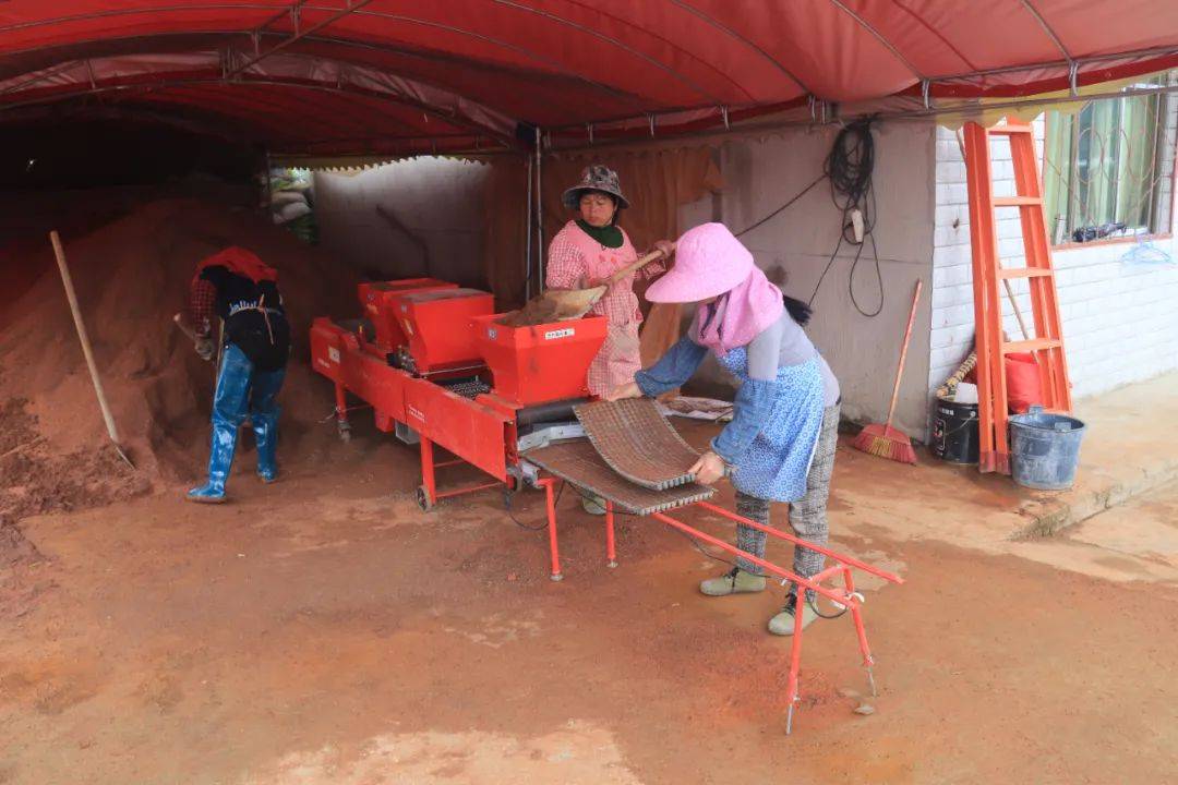 龙宝种粮模式开启贵安新区龙宝大坝示范田完成1261亩水稻播种