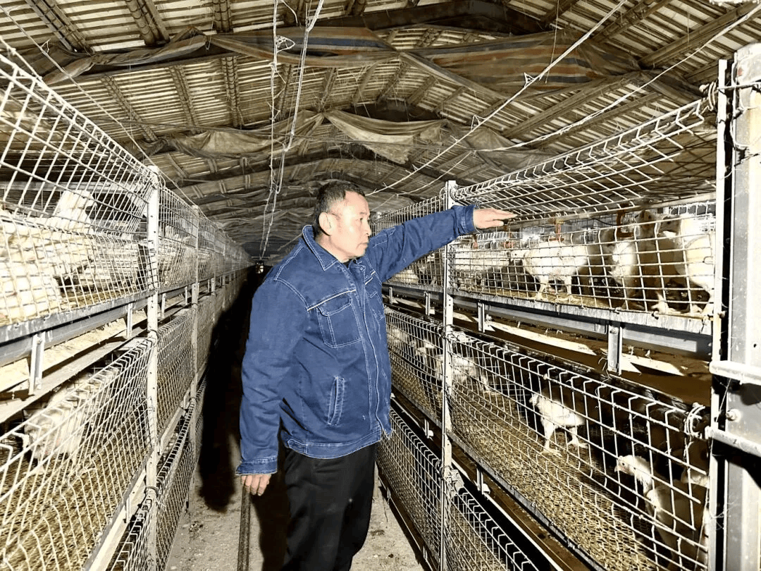 养殖_新河镇_经济