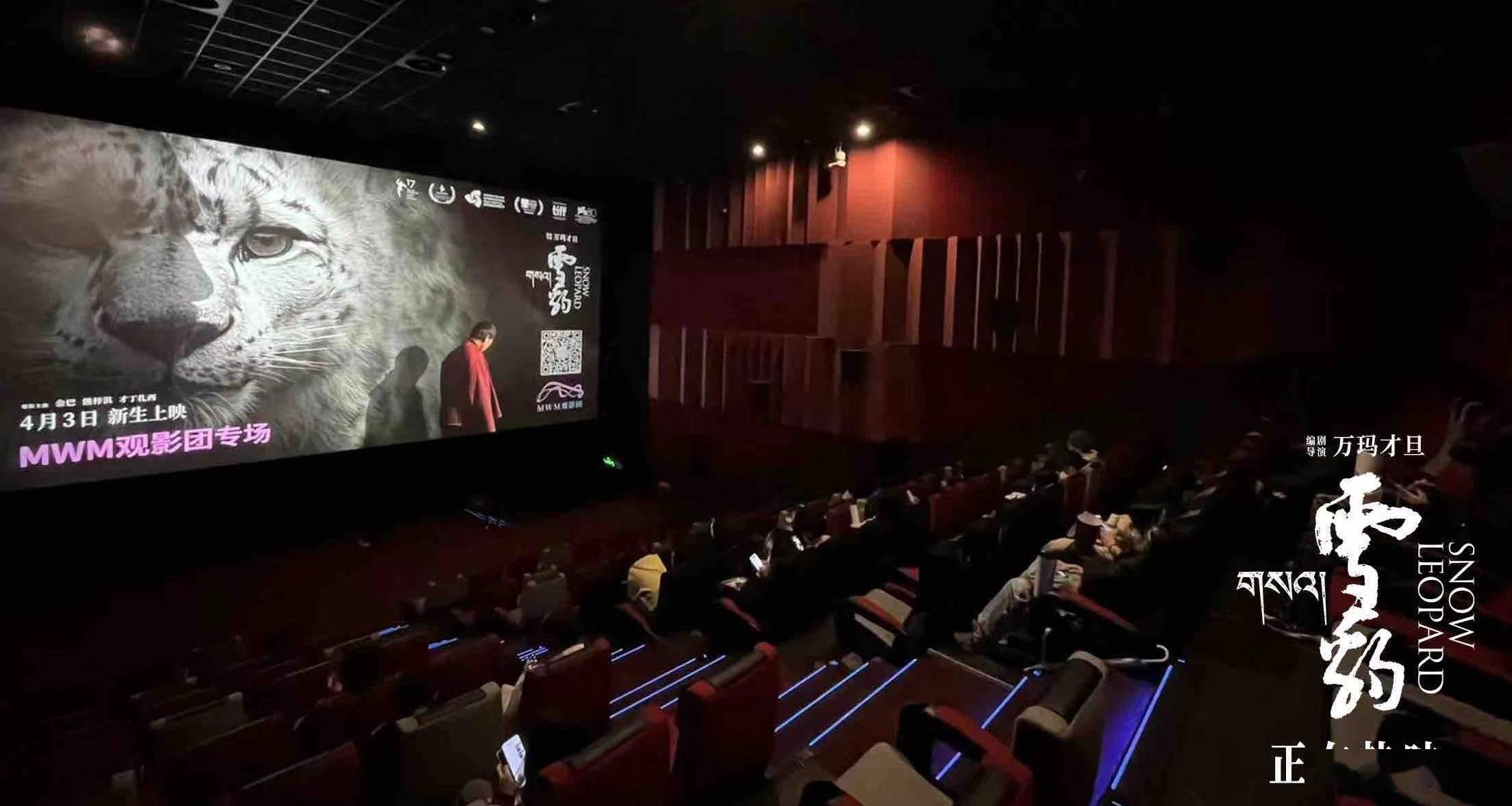 万玛才旦高口碑电影《雪豹》路演 影片价值表达获观众盛赞 