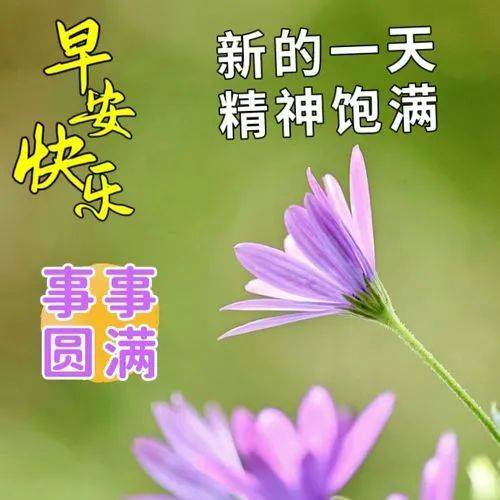 今日最新早上好表情图片大全