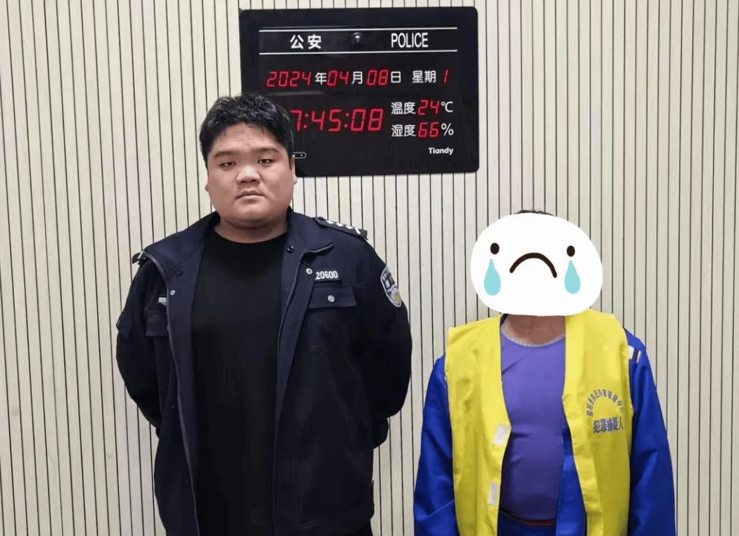 邵阳王某某(女)做这事被监控记录,刑拘_手机_报警_蔡桥乡