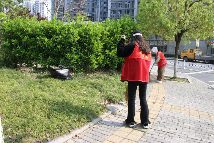 化身城市清洁工大家一起热火朝天美化环境