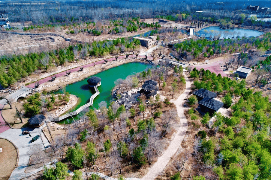 公园20分钟效应是真的银川必打卡的十大公园带你去看看