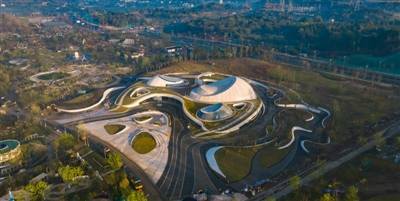 种下三颗种子世园会植物馆破土而出