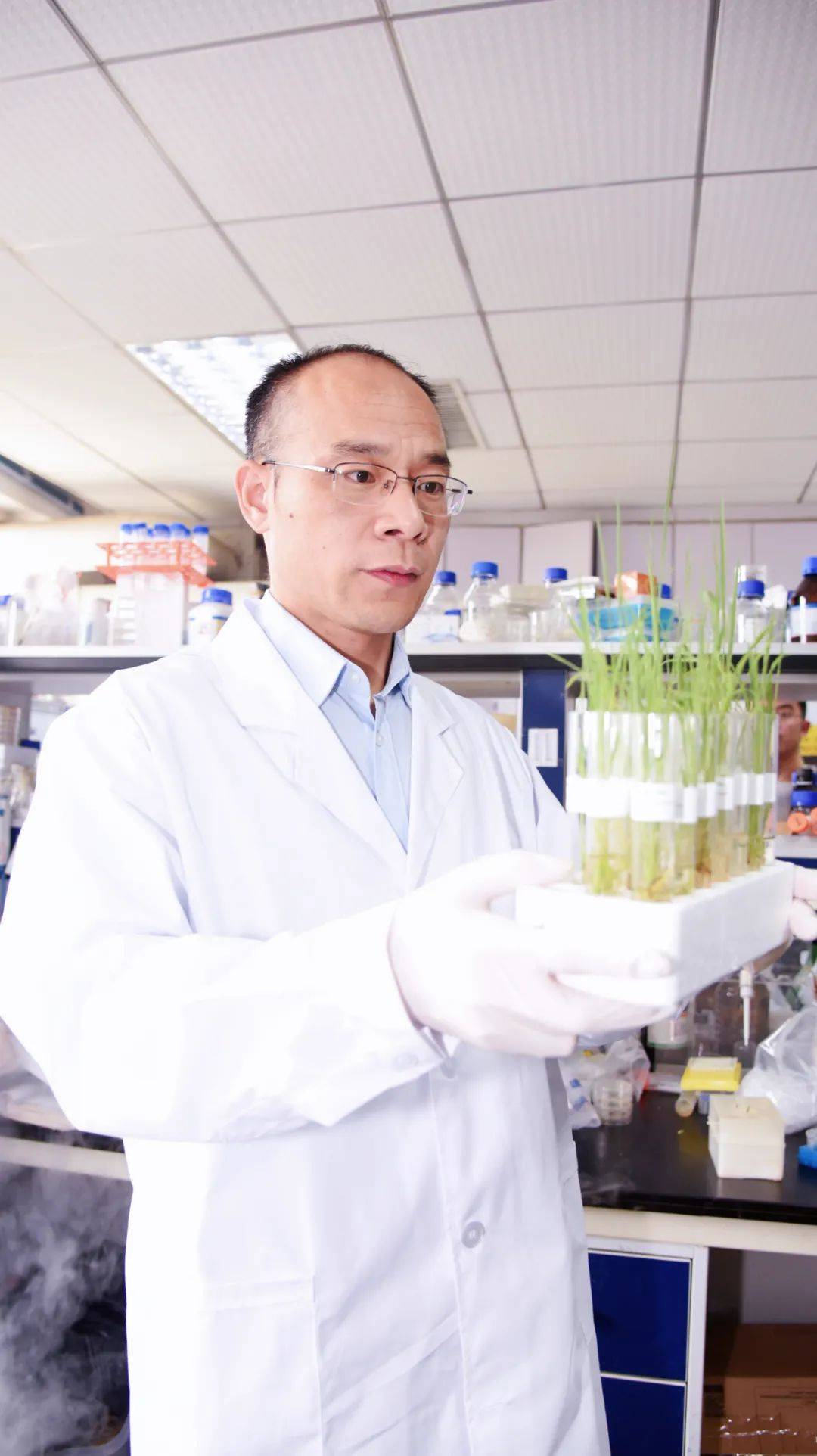 李国田"如果我们培养若干掌握核心技术的水稻医生,那将从根源