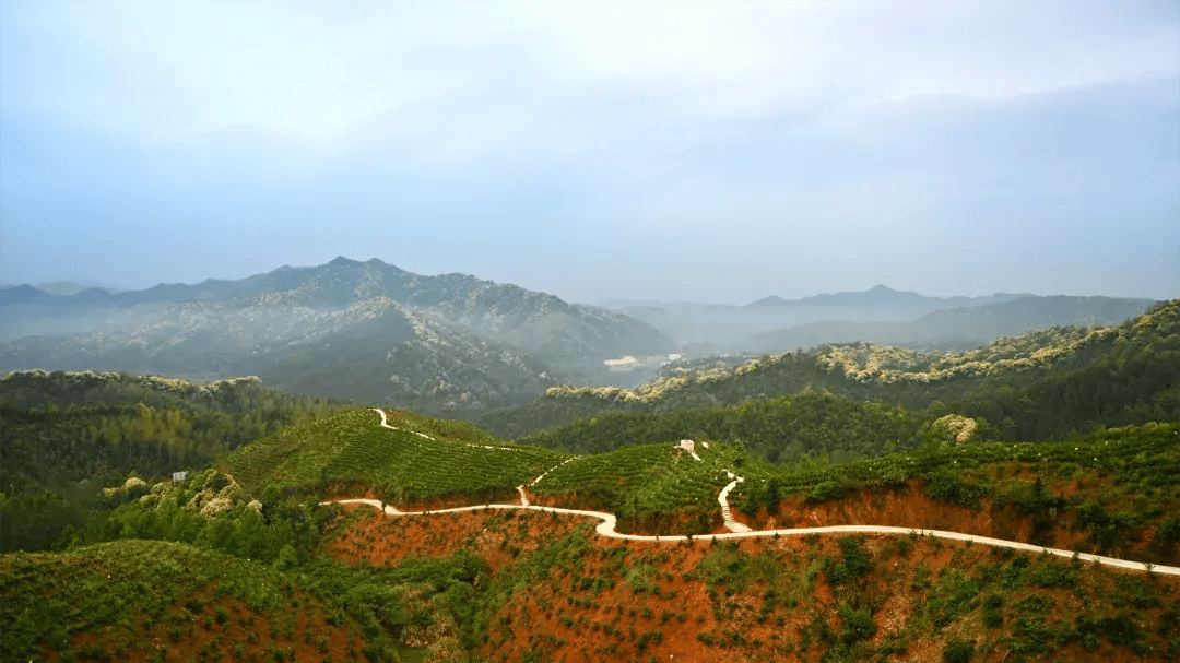 跟着赛事去旅行,一赛一旅程,一程一风景 | 春游江淮_祁门_芦溪_乡村