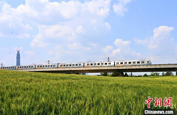 成都:麦田景观吸引游客拍照打卡