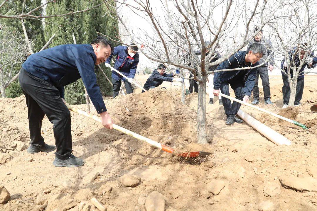 植树添新绿 不负好春光——市直机关1294名党员干部参加义务植树活动 建设 绿化 朝阳