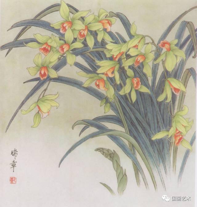 图文教程工笔兰花画法示范绝对到位