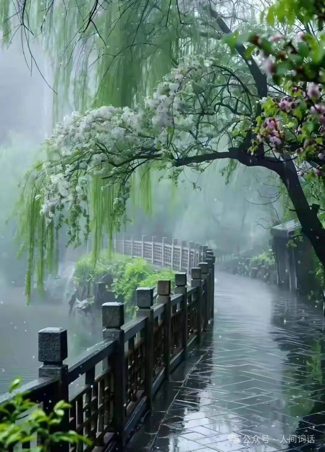 烟雨潇潇图片