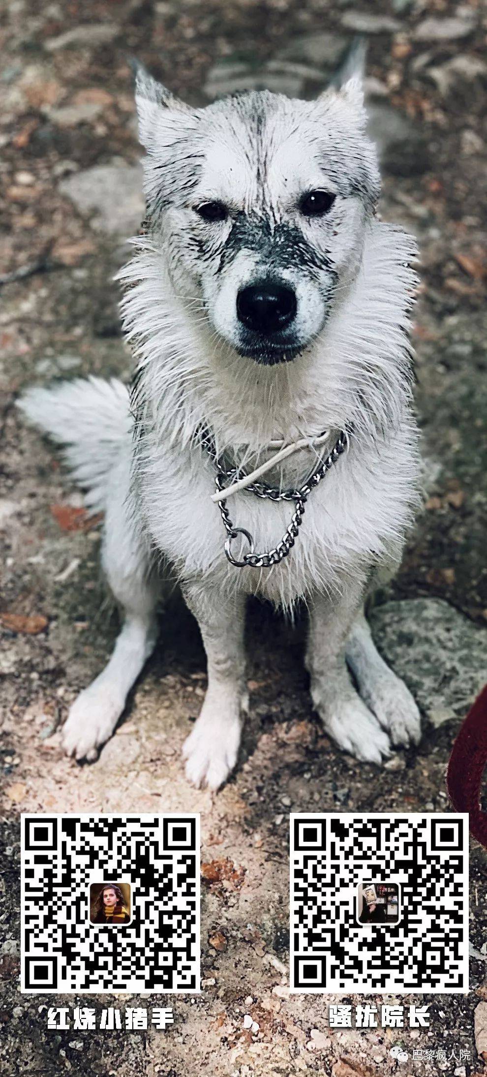 990_2189竖版 竖屏