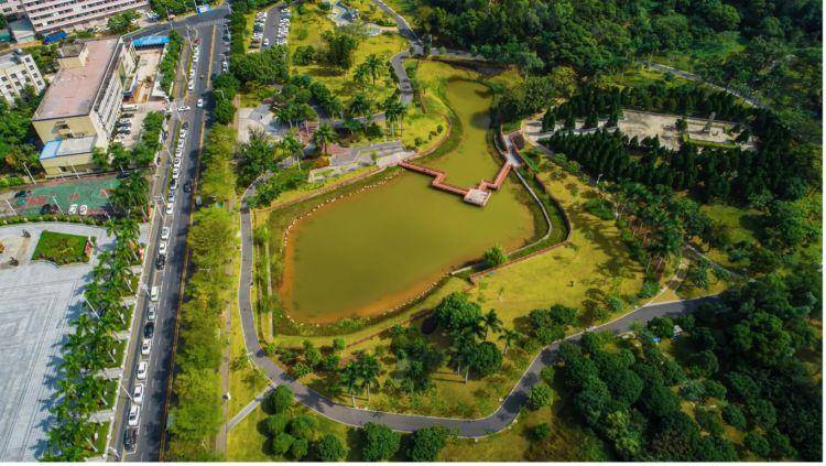 坑梓你来打卡人间最美四月天踏青赏花正当时