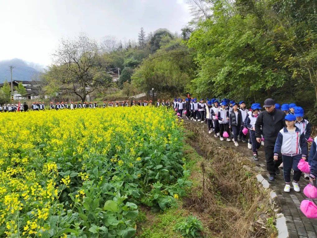 当一个干了8年的辅导员决定去山里当驻村干部