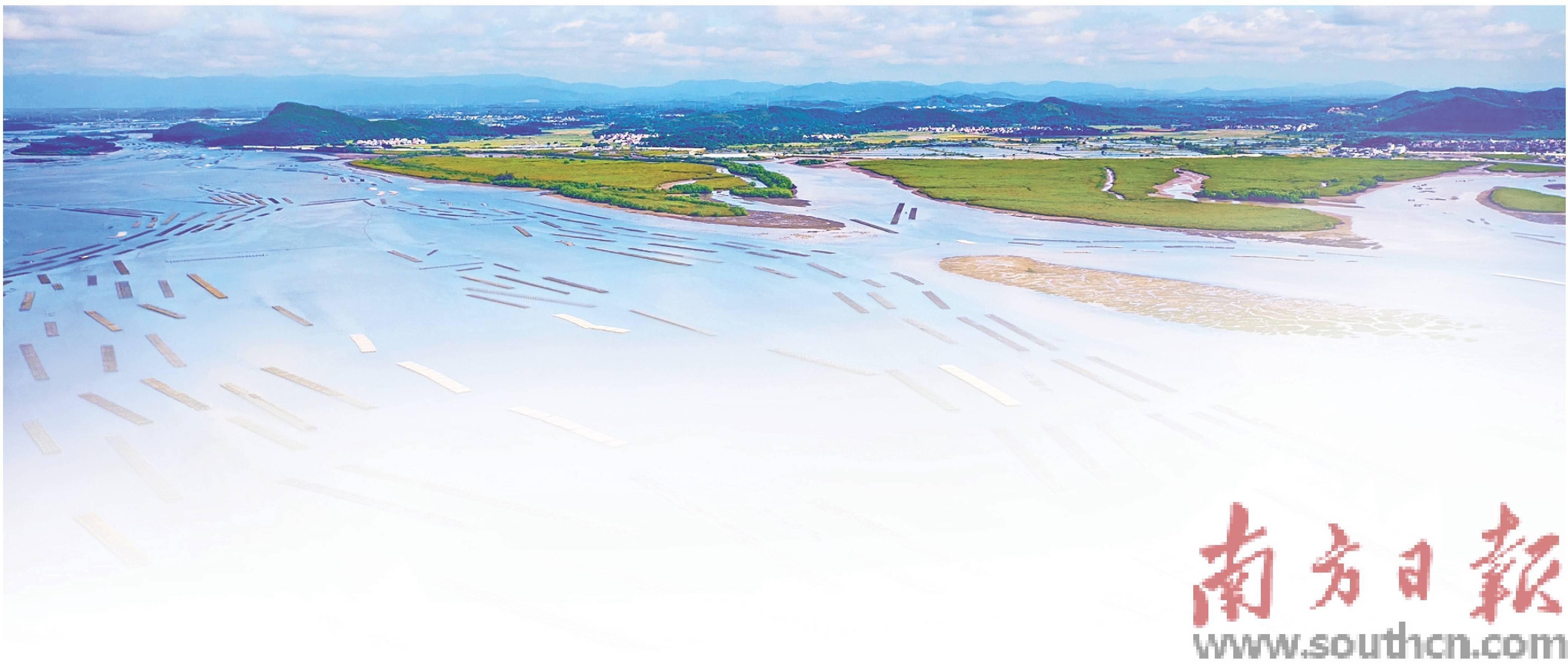 人间烟火寻味阳西