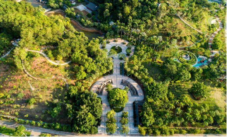 坑梓你来打卡人间最美四月天踏青赏花正当时