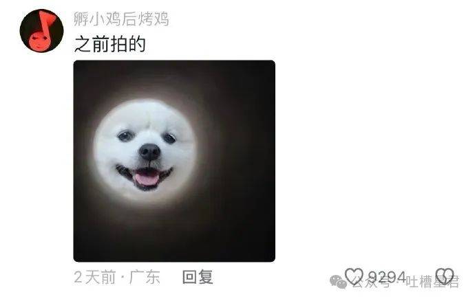 快楽之源)猫咪:好耶自助餐烈性犬:叫我旺财就可以了(via.