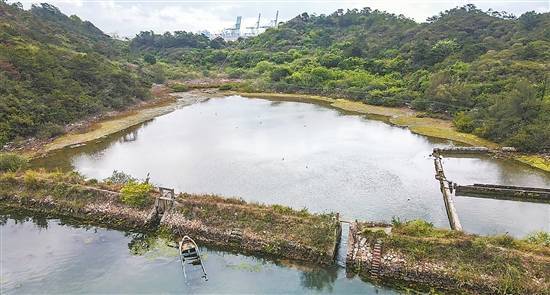 【惠州文脉·创想】大亚湾衙前村:昔日"孤岛"变热门旅游地 三百多年古