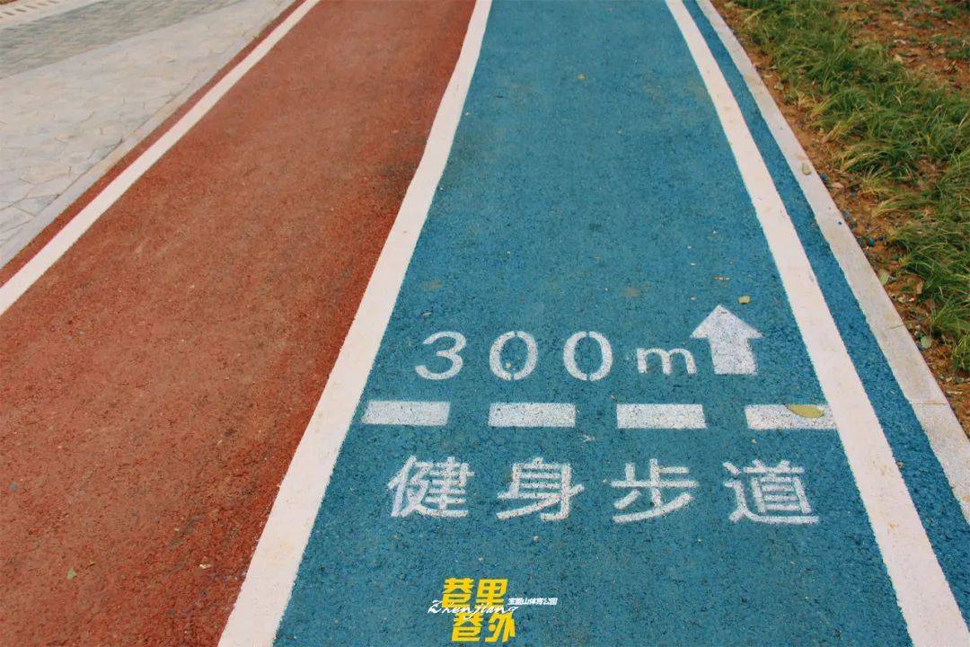 快去这座全新的体育公园!山顶有一个超美的篮球场