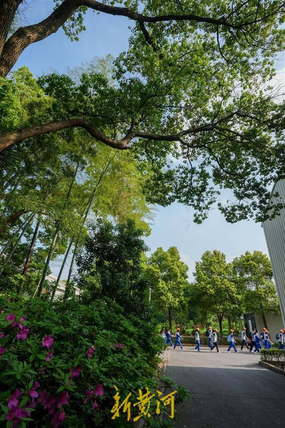 泉秀学校研学团来到长沙一览中国建筑奇迹风采