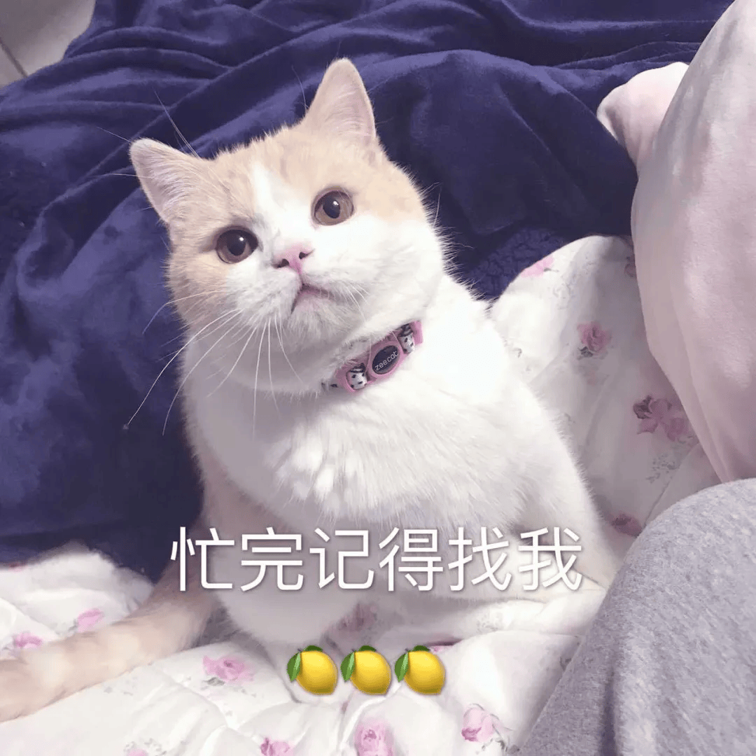 “记得告诉我”别再用 remember to tell me！老外才不这么说！！_know_let_Just