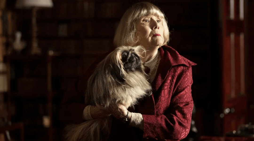 虐猫狂魔后续他是无辜的