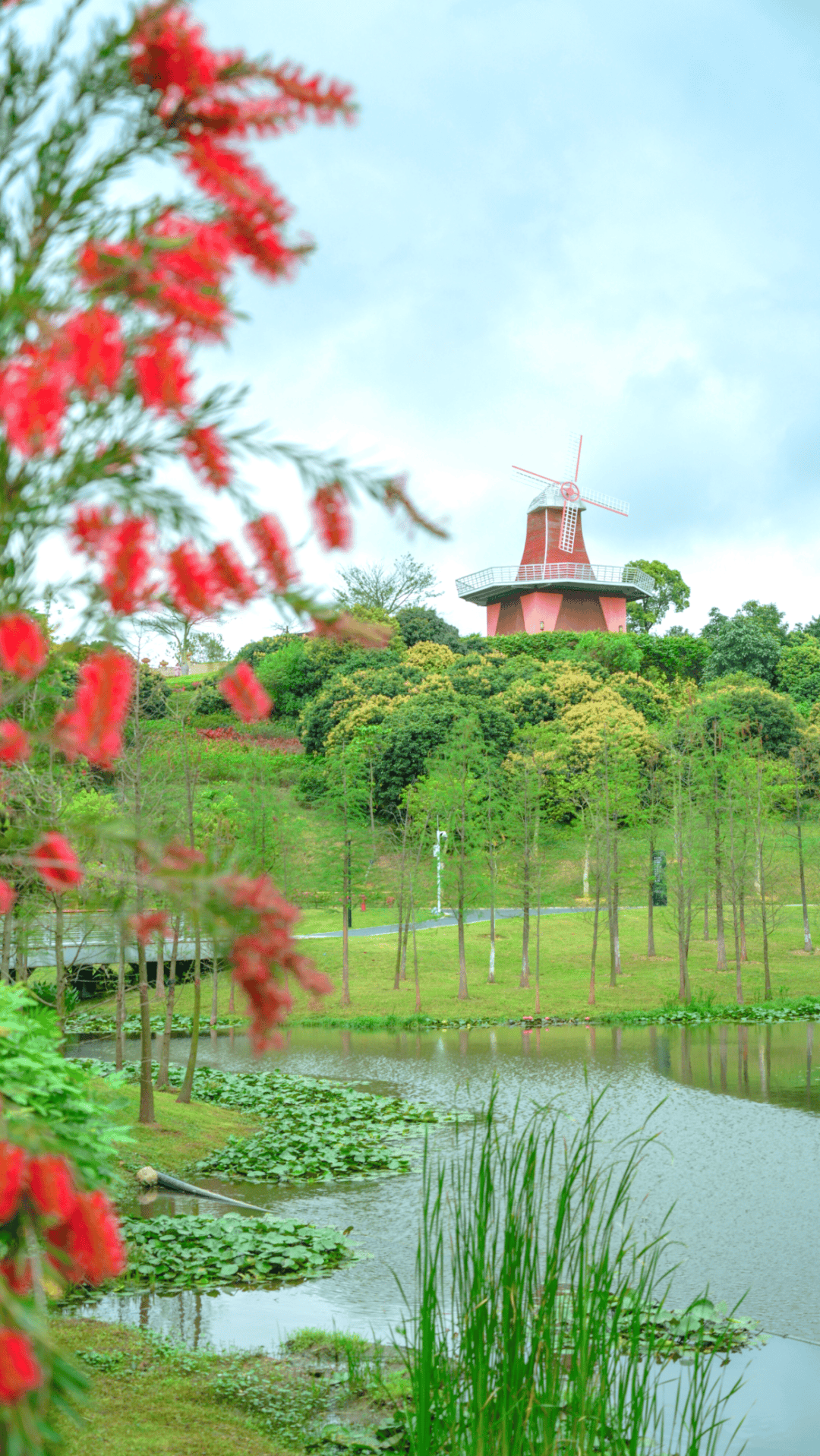 拿好这份赏花吸氧「邀请函」_植物园_东莞_园区