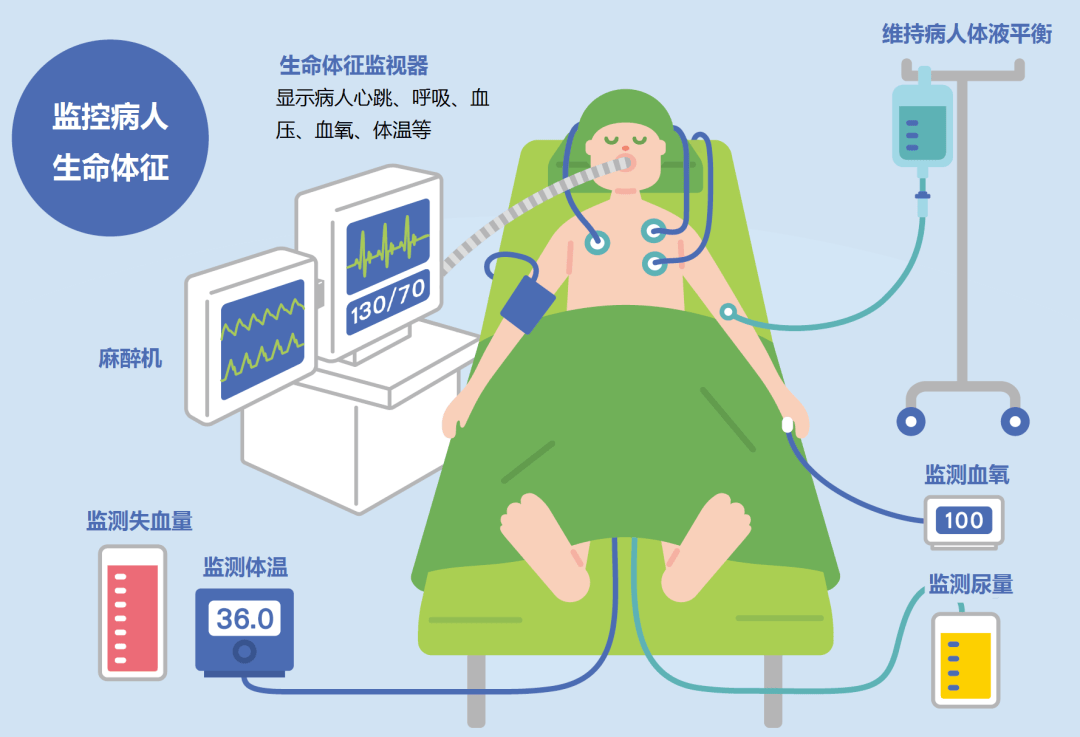 生命体征包括图片