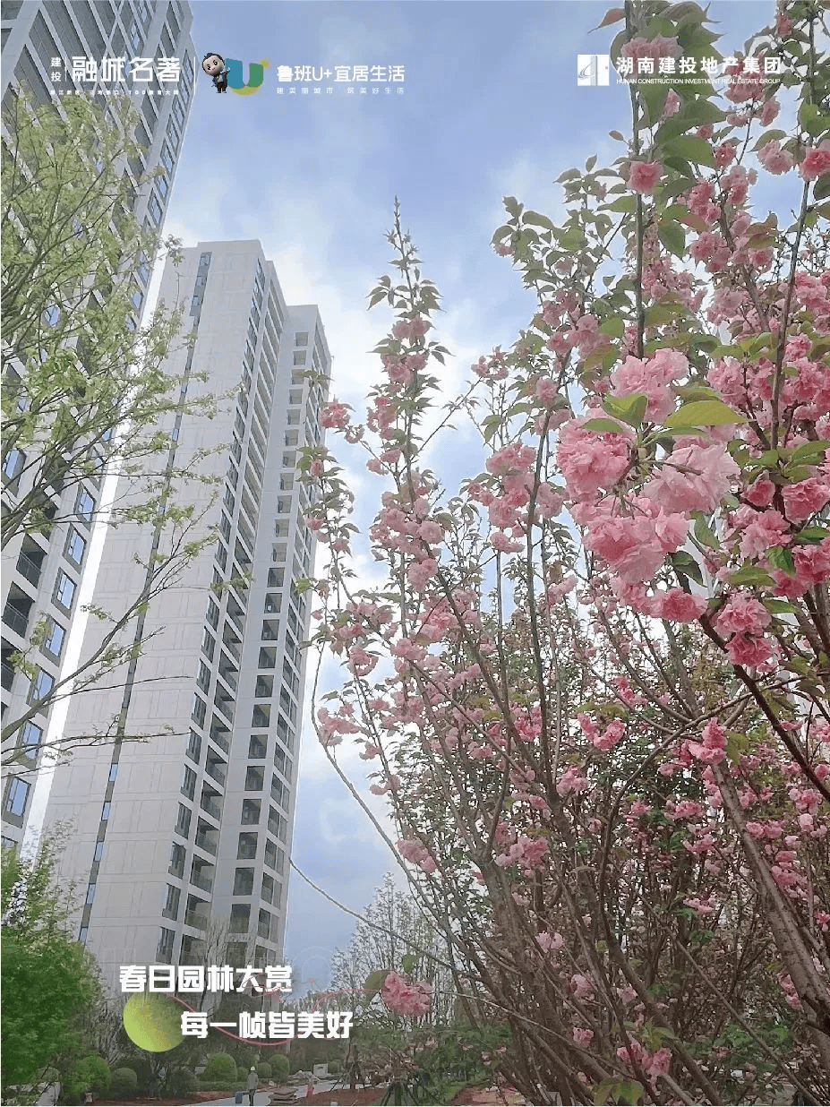 湖南建投融城名著融城拾春光｜春日园林大赏 每一帧皆美好_律动_色彩_示范区