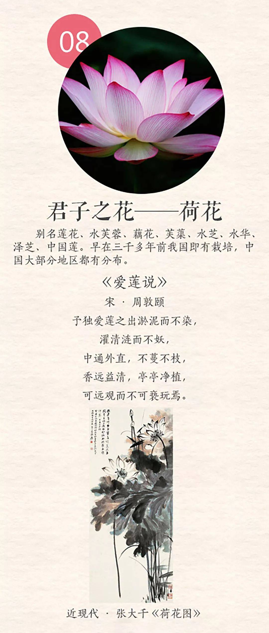 67一花一世界十首古诗中的十大名花转眼又是一年春来到这段话送给