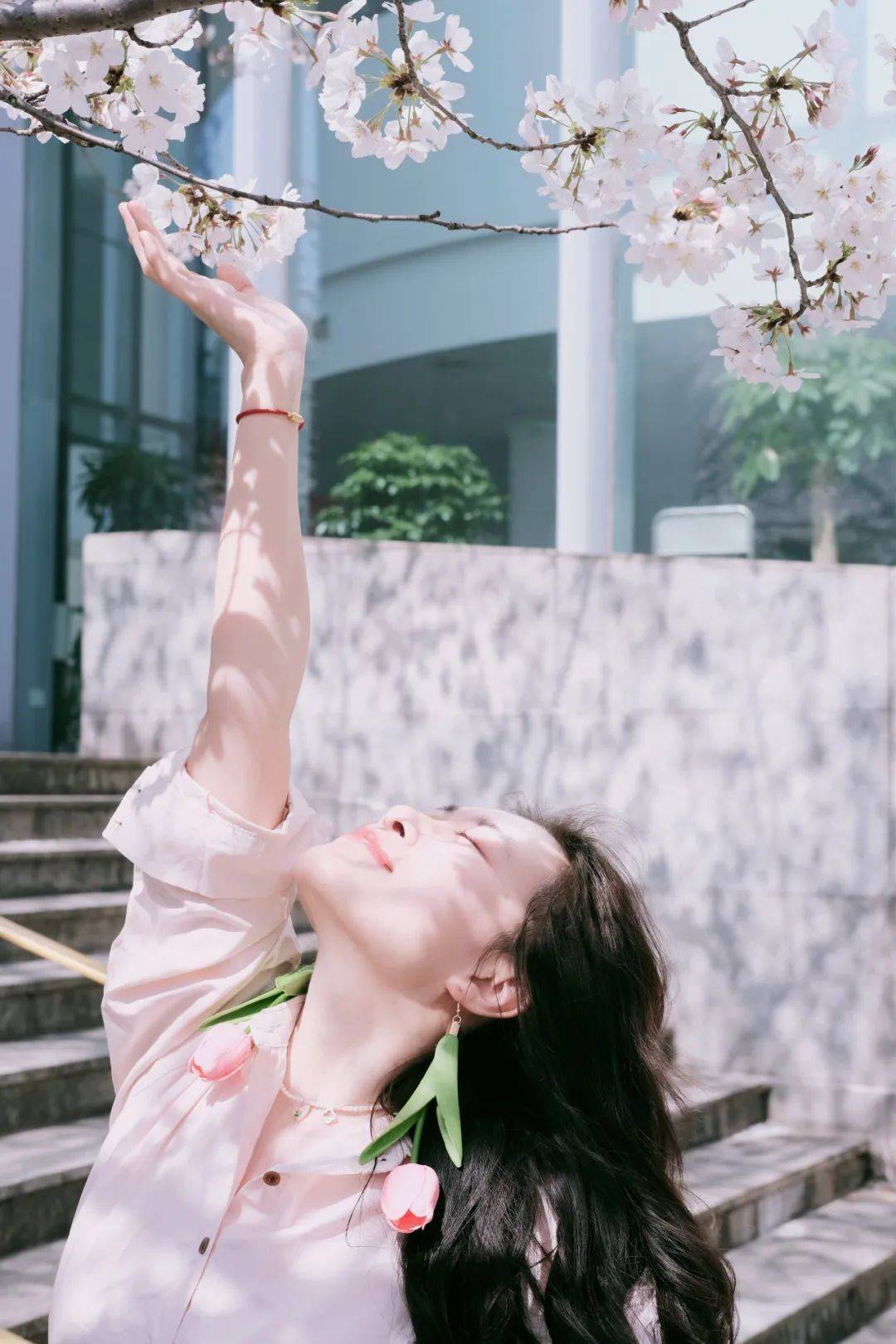 春风有信静候佳樱丨拍同济摄影大赛线上投票开启