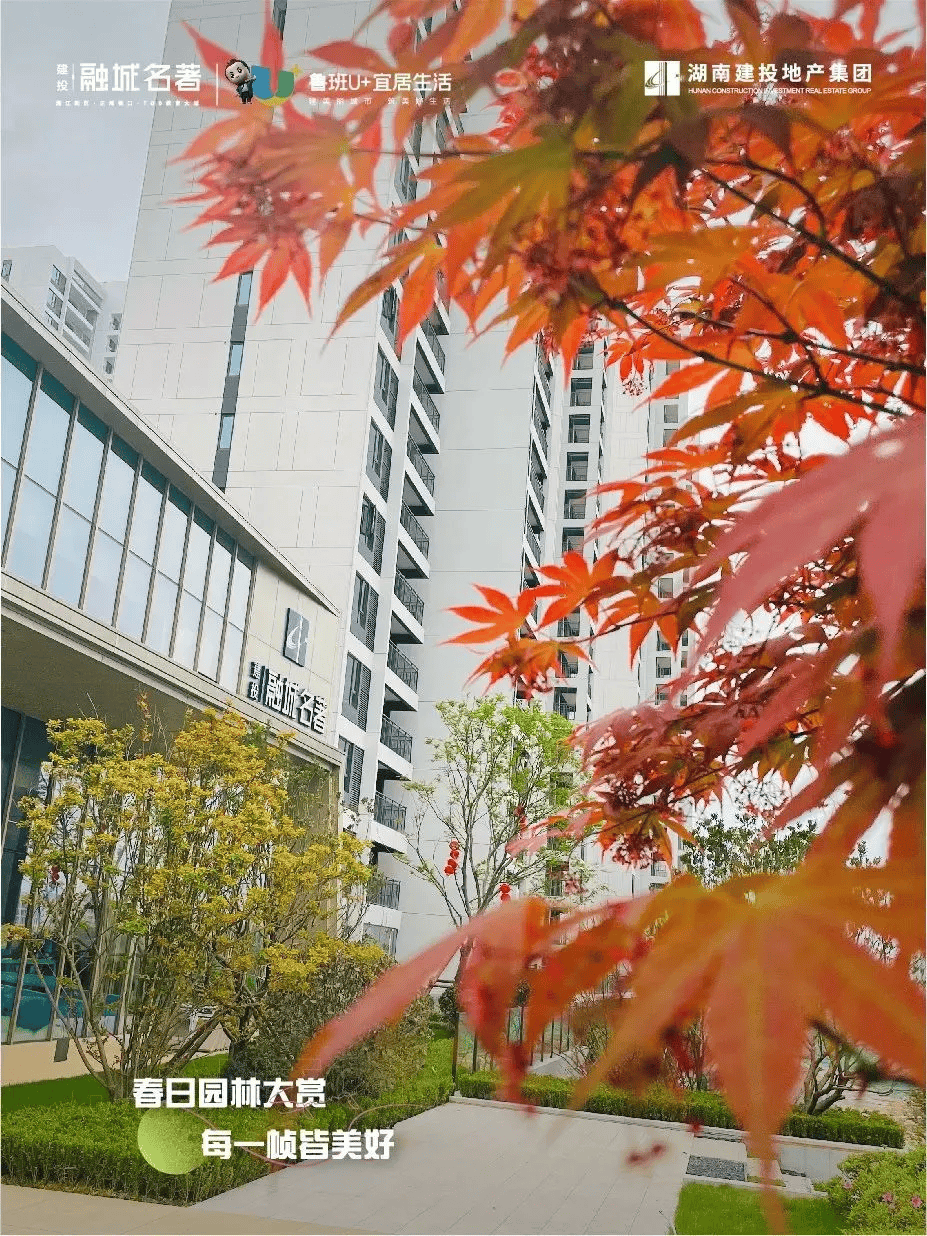 湖南建投融城名著融城拾春光｜春日园林大赏 每一帧皆美好_律动_色彩_示范区
