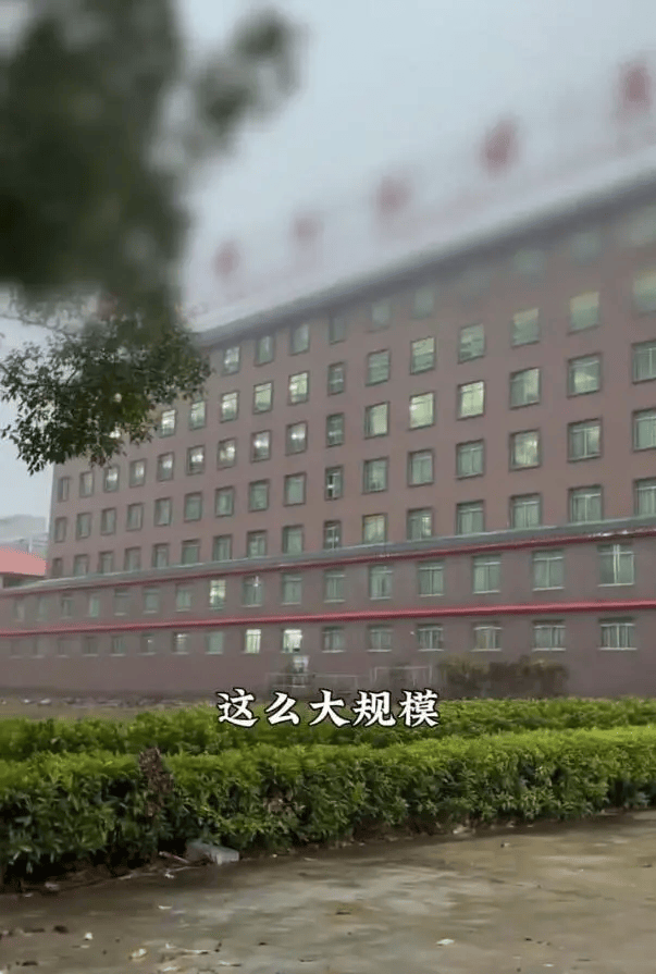 官方通报:已被批捕_老村_黄某雄_普宁