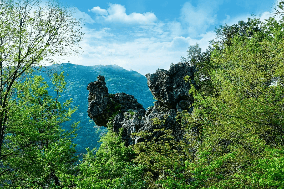 定了京山一景区今天正式开园