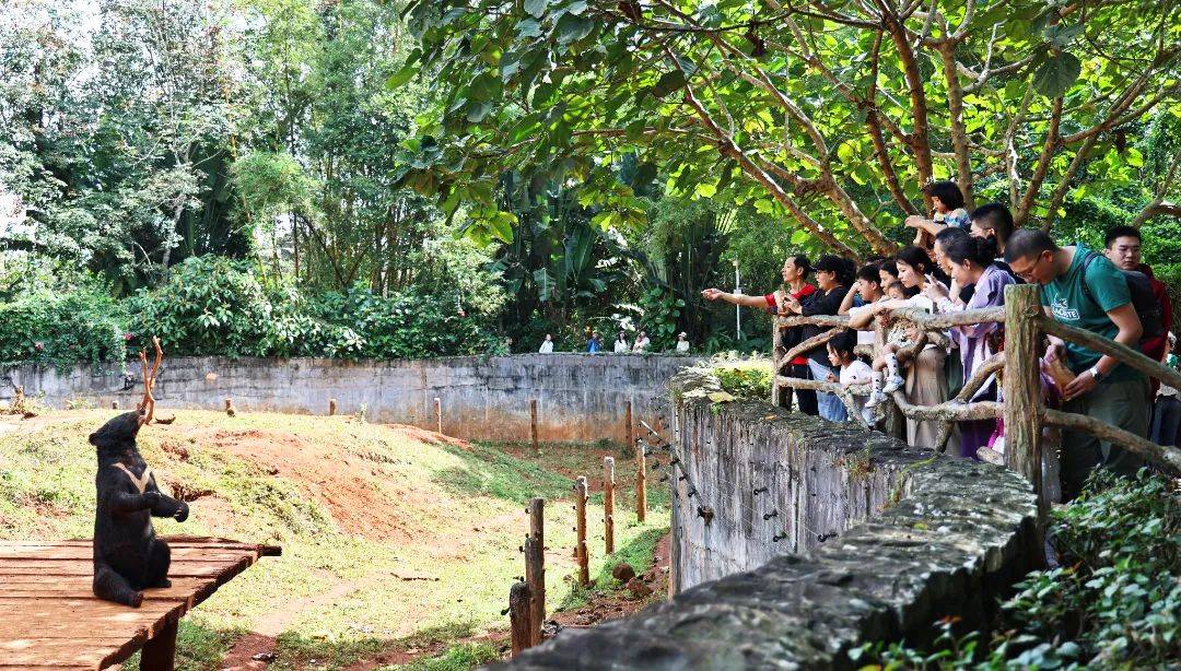 在冯塘绿园赴一场乡野之约有氧徒步,萌宠喂养,骑乘互动非遗扎染,陶艺