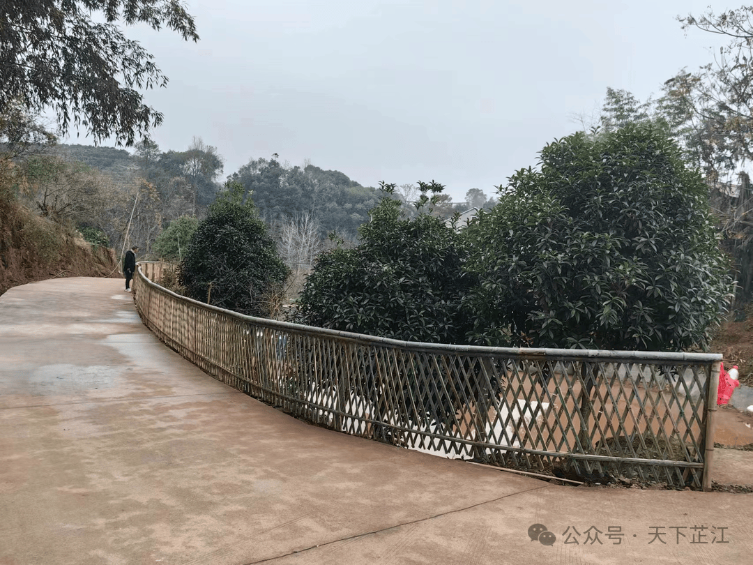 随处可见的是清新明丽的村道村景,干净整洁的村民院落,等到草长莺飞