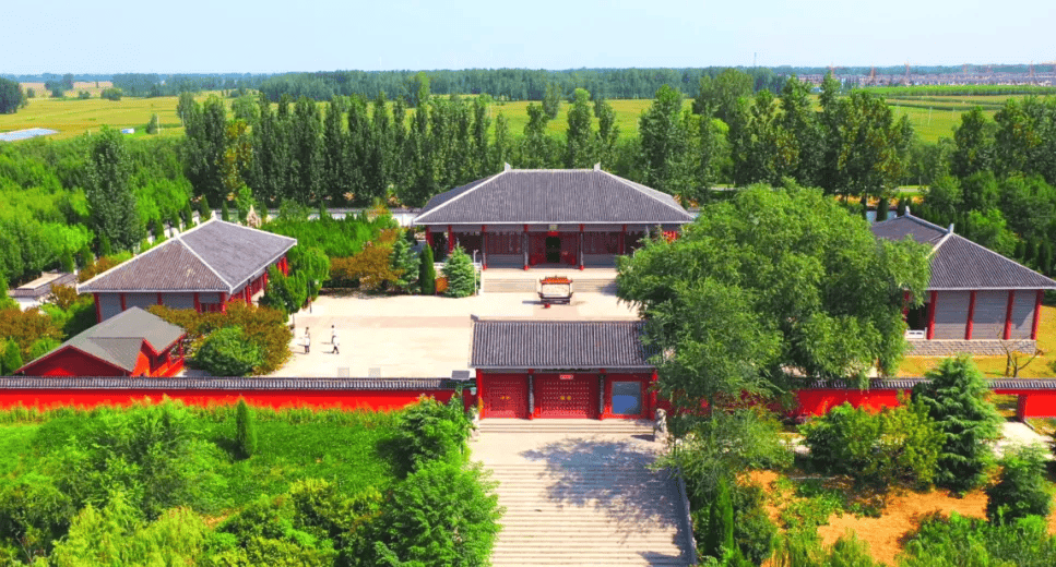 菏泽牡丹苗批发市场哪里