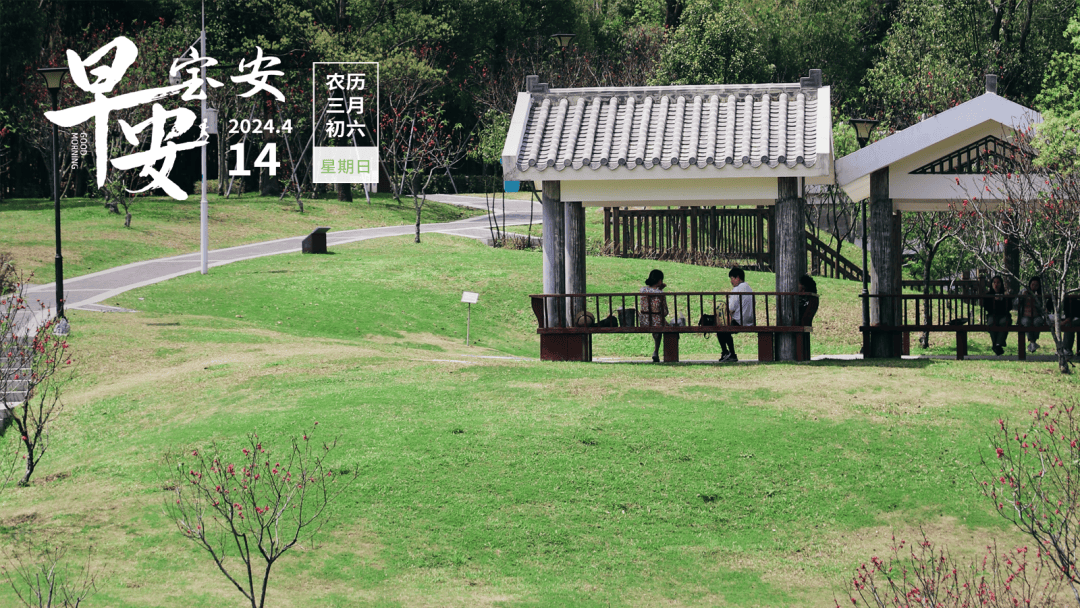 广深小汽车上牌指标限制再放宽丨深中通道开始桥梁丨