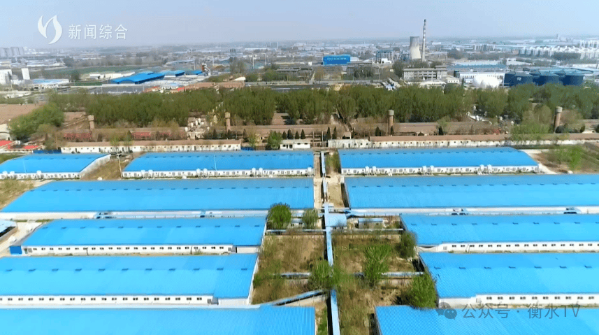 安平县:京津冀协同发展"蓝图"变"实景"_衡水_新闻_广播