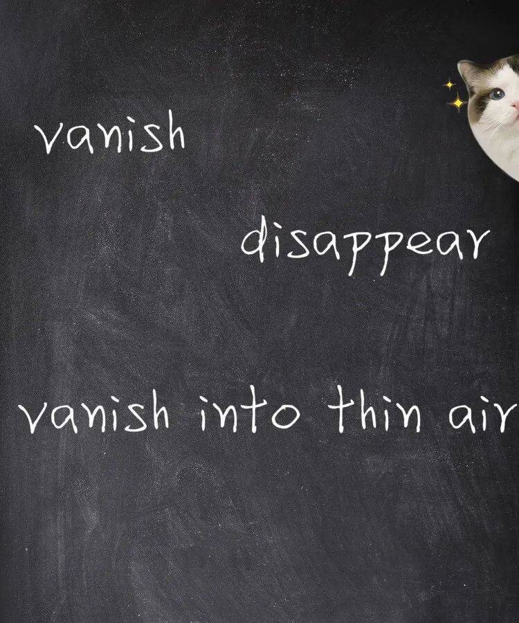 描述“消失”，vanish、disappear、vanish into thin air在英语作文中如何准确使用？_写作_过程_词汇