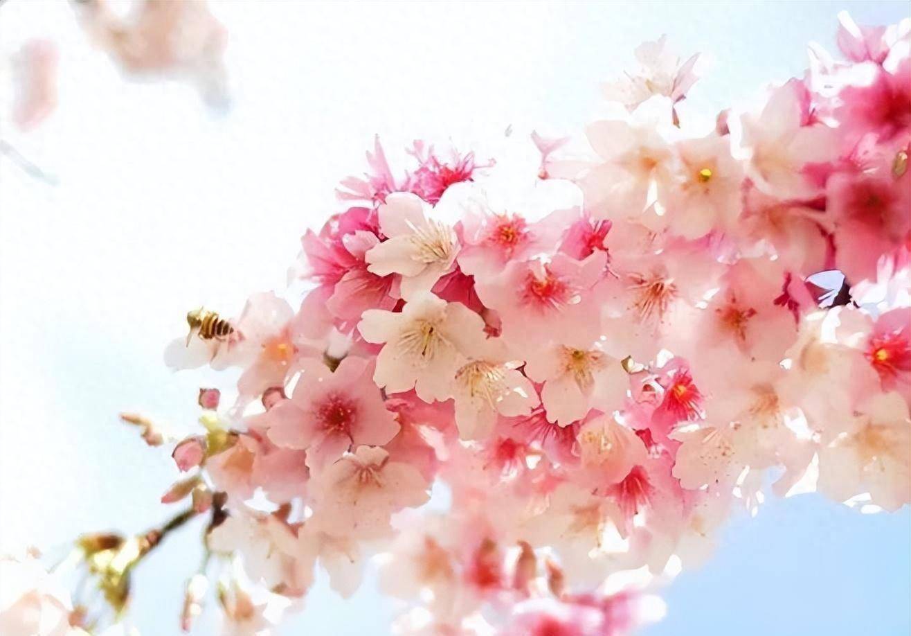 男人彻底不爱了,就算表面很淡定,身体也会有这4个变化,很明显