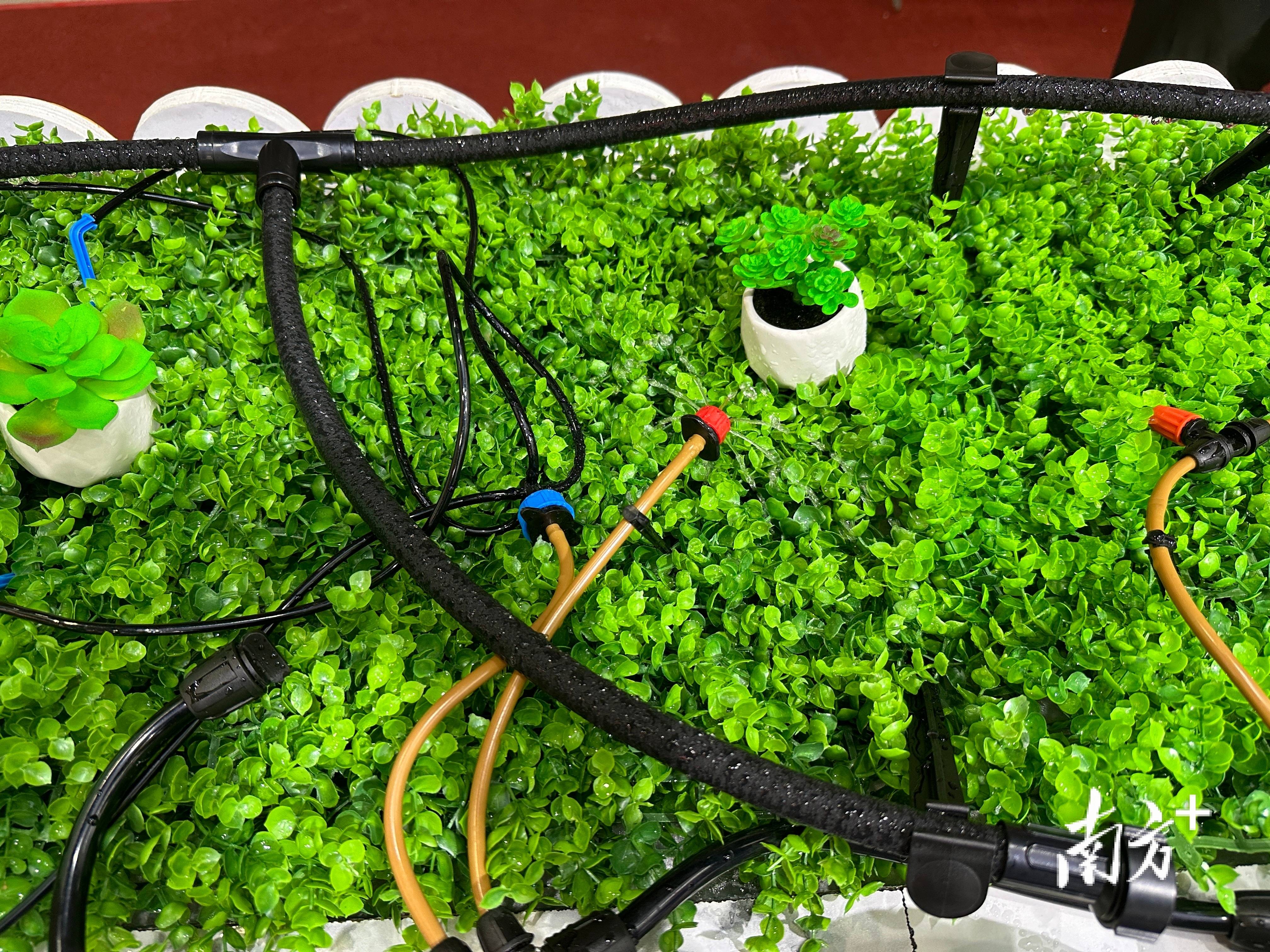 公司生产的塑胶软管主要用于大面积灌溉,微滴灌,洗车,气动工具等.