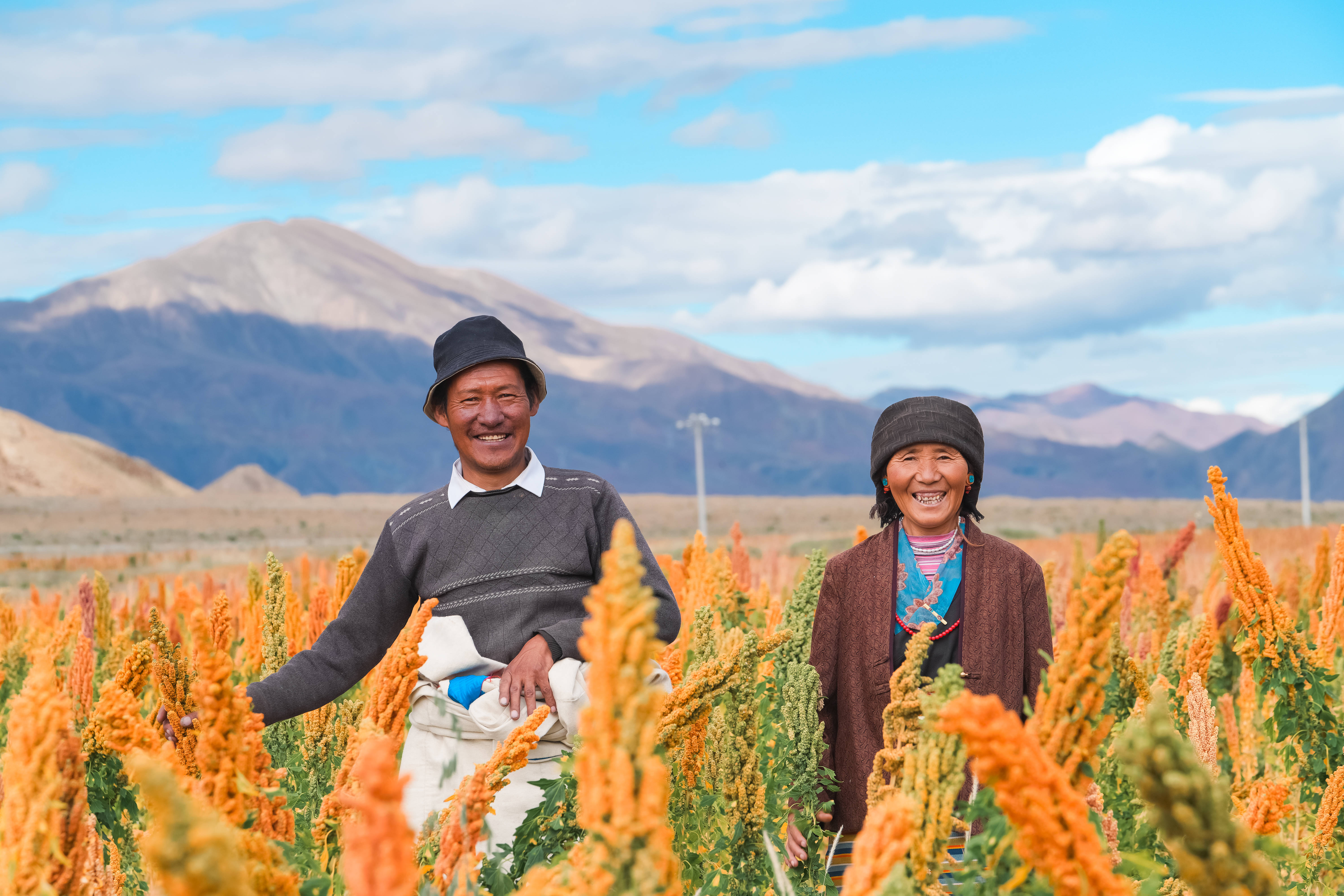 当前,在江孜小组的牵头下,沙涓还正通过打造江孜羊专供养殖基地,建设