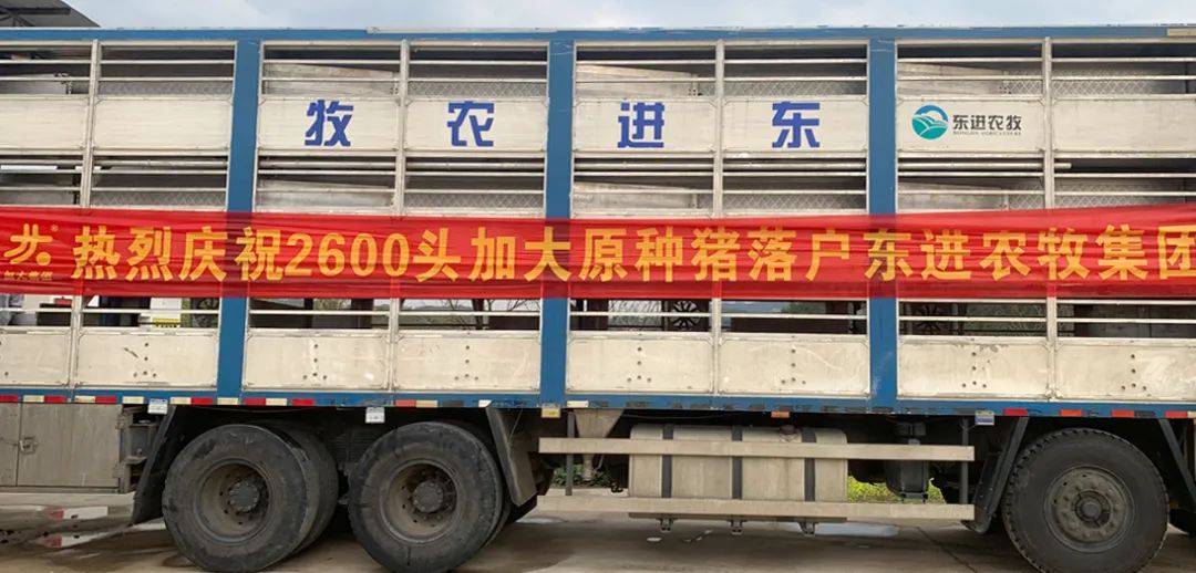 回望过去这些脚印特别鲜明