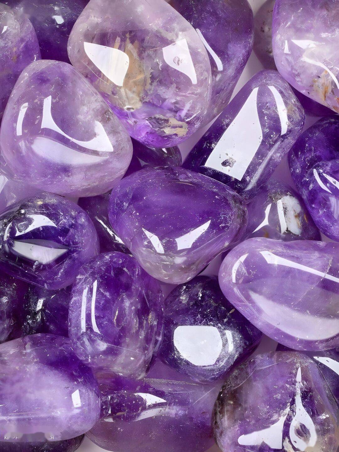 有这几个大佬颜色我打通了美女赛道