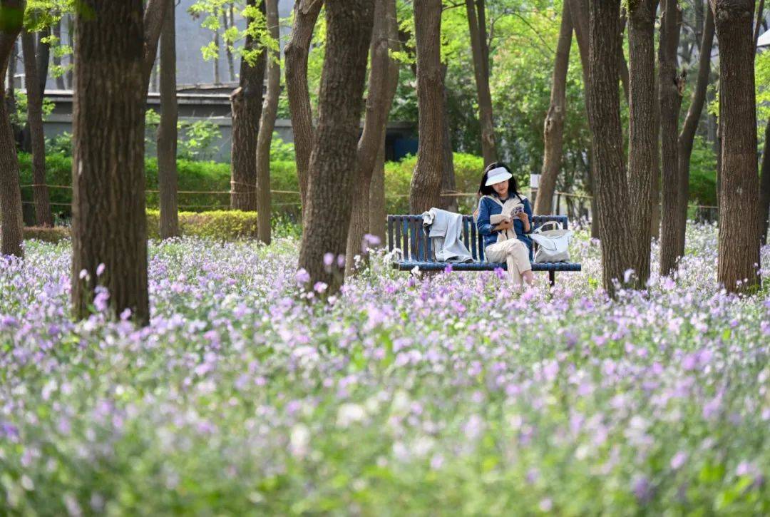 朝青居民 家门口今年将新增一座700亩公园!_朝平_建设_北京