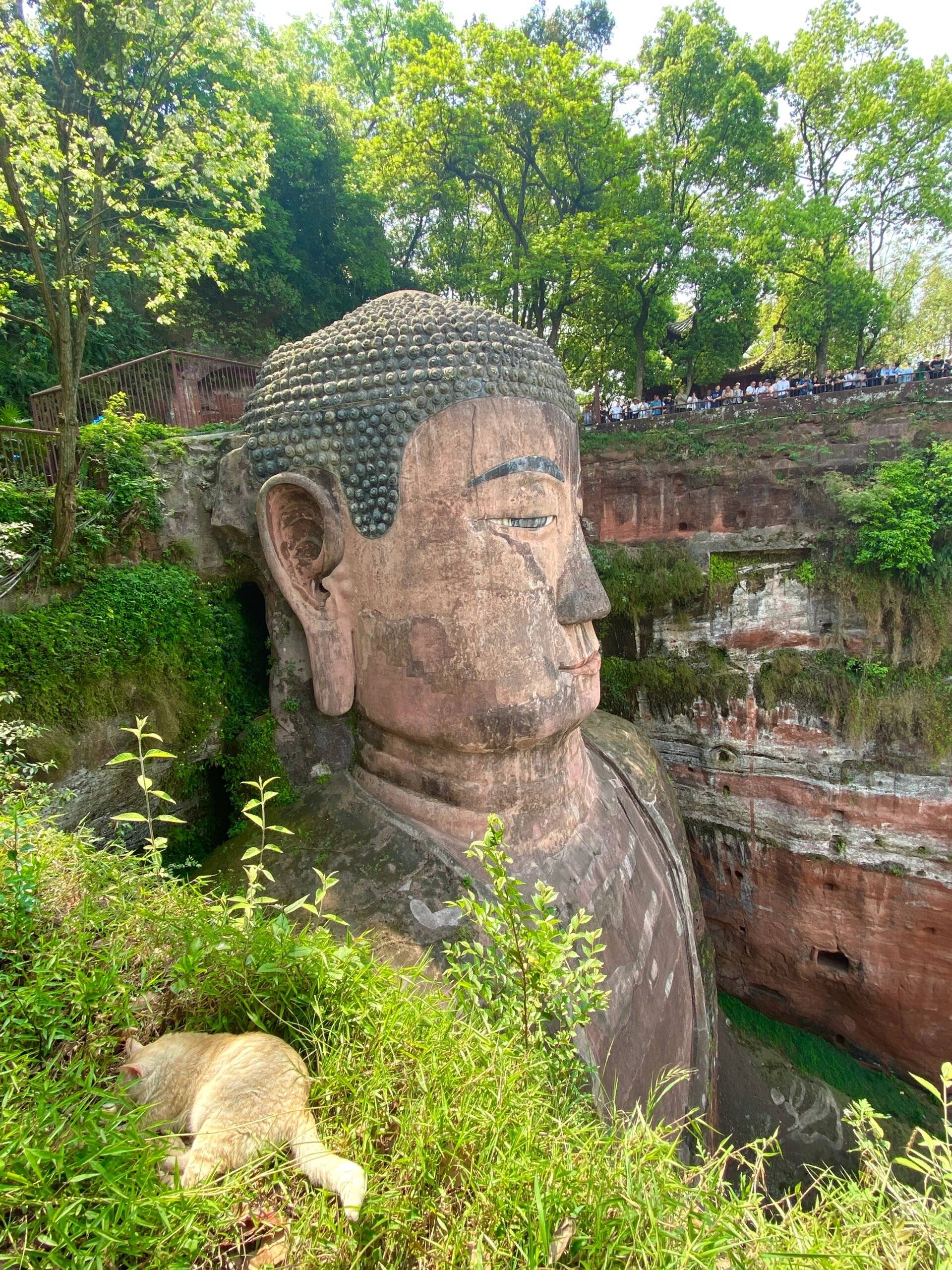 四川周围旅游2天 ,带你了解下_成都_乐山大佛_旅行