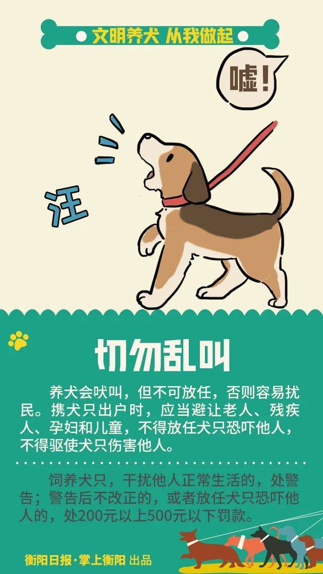 扩散不是所有的犬都可以养衡阳公安部门公布42种禁养犬画像