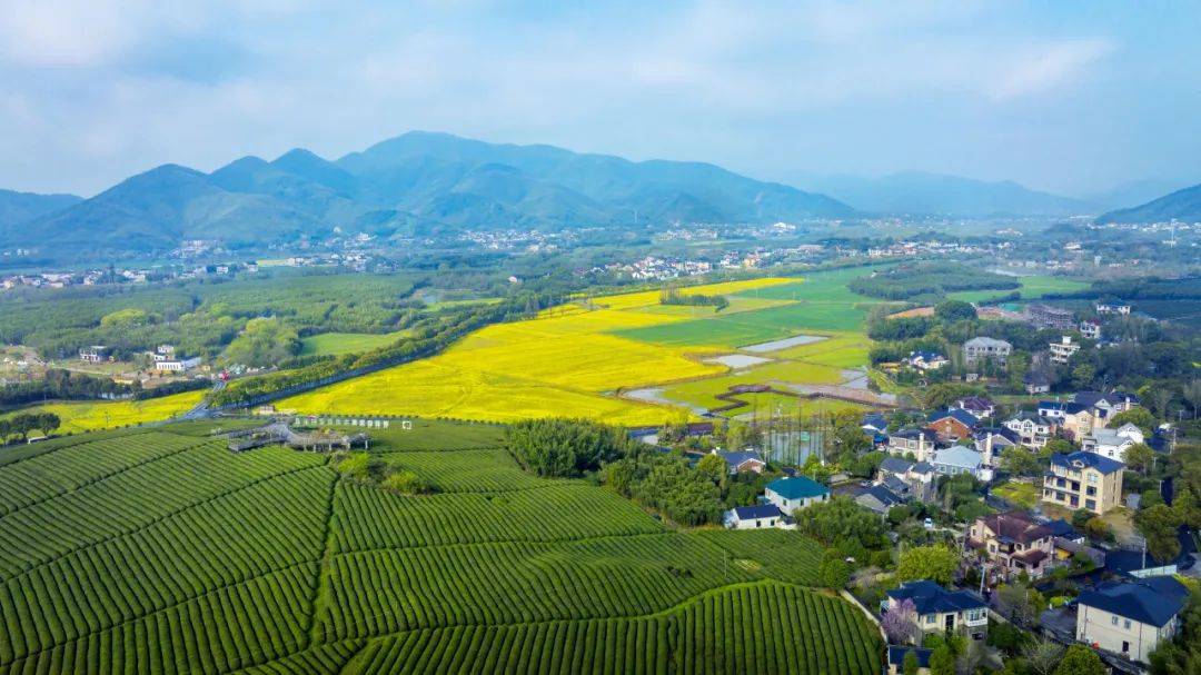 共富自然资源之约丨杭州市余杭区径山镇以土地综合整治留住乡村记忆