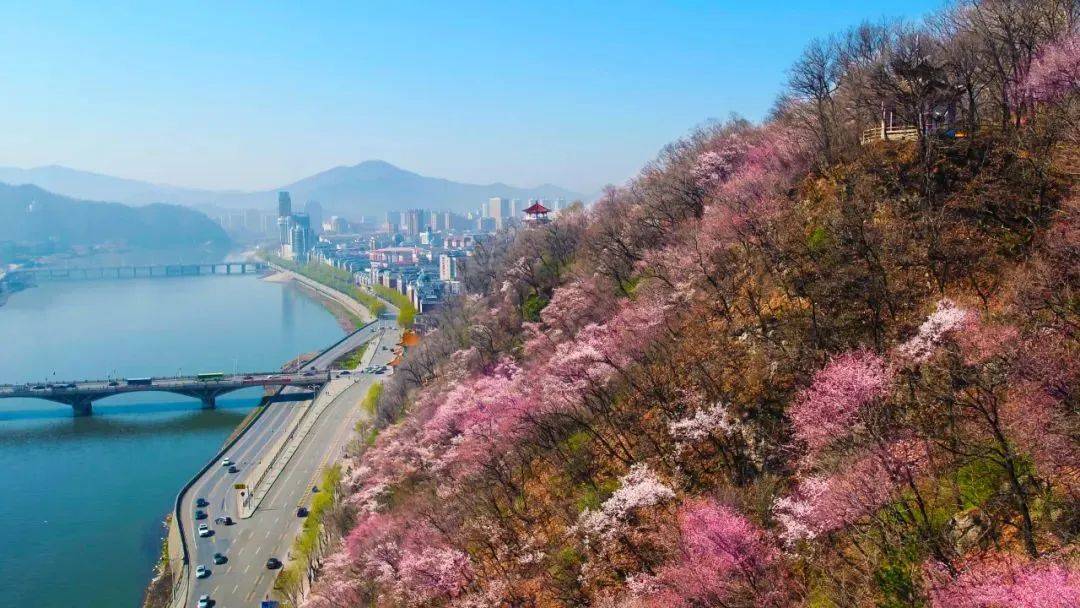 【迎春出发寻春趣】踏青赏花,畅游通化,共赏人间四月天